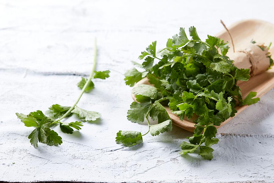 καυκαλήθρα