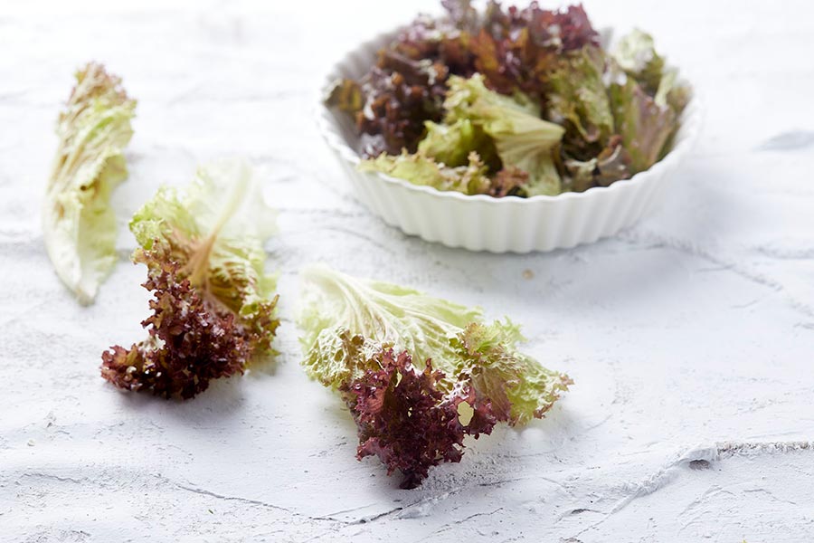 λόλα κόκκινη