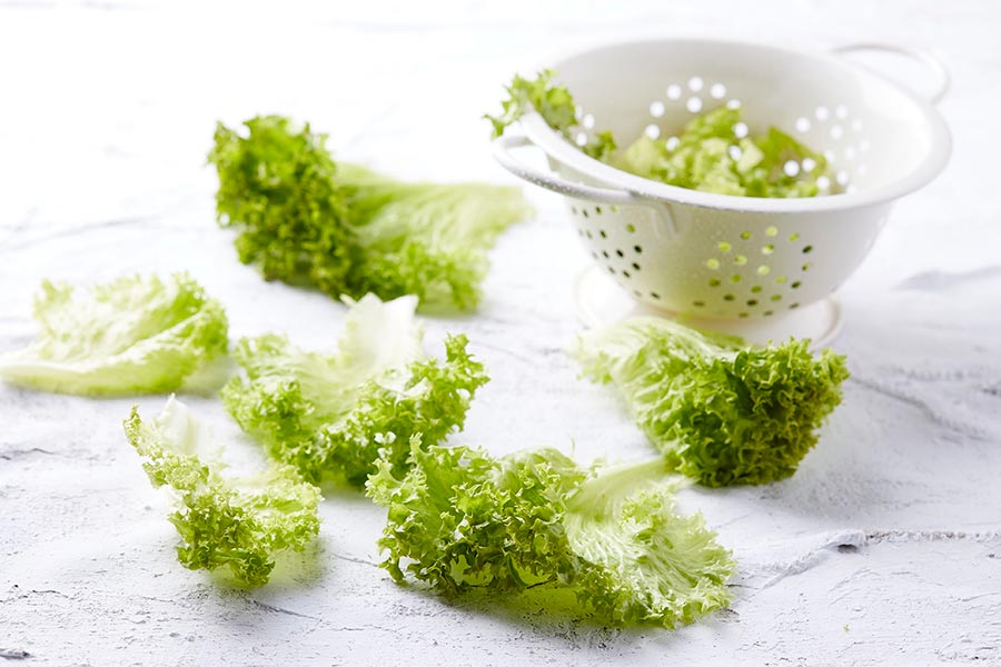 λόλα πράσινη