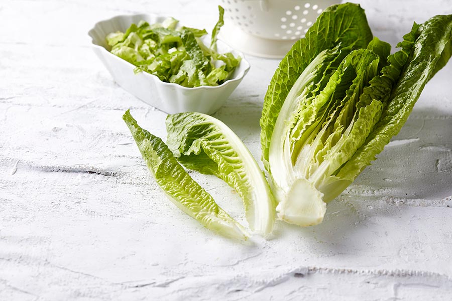 μαρούλι ρομάνα